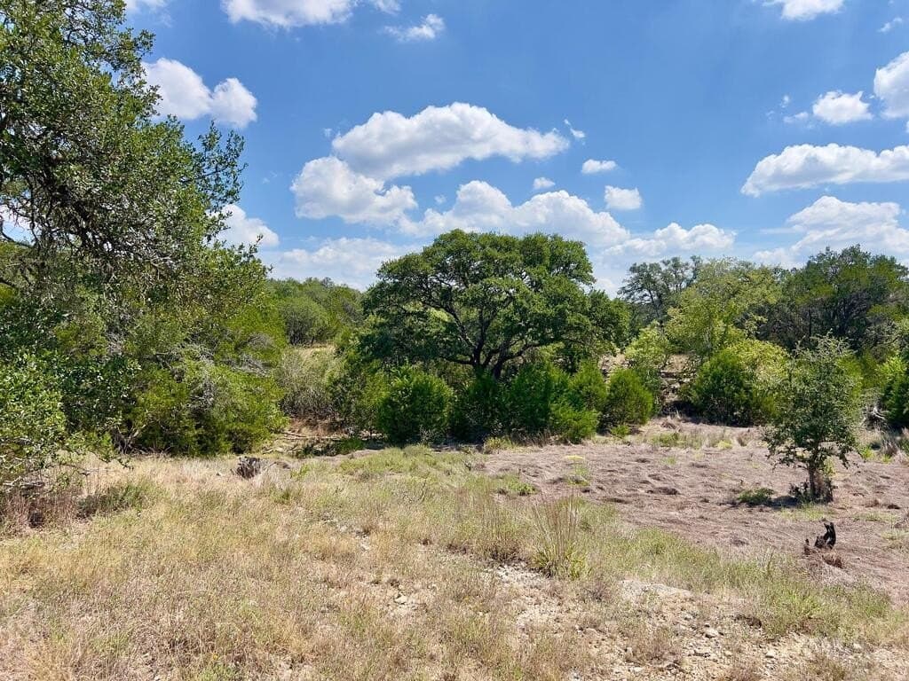 23.55 acres in Blanco County - photo 19