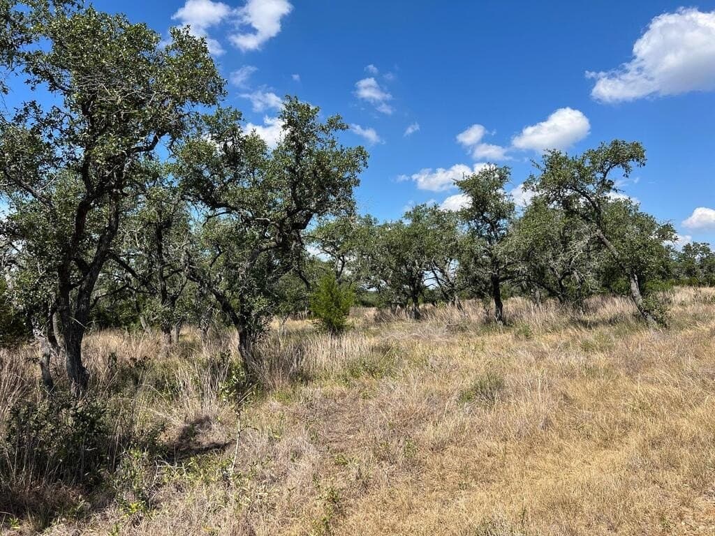 23.55 acres in Blanco County - photo 11