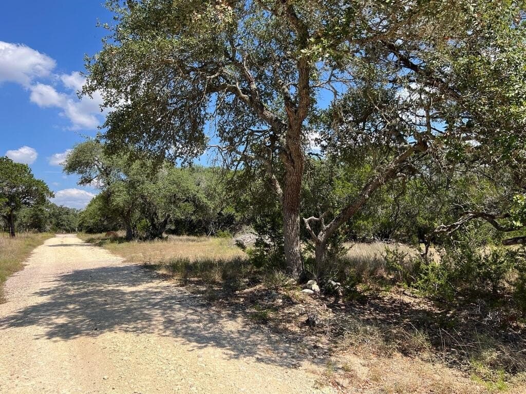 23.55 acres in Blanco County - photo 21