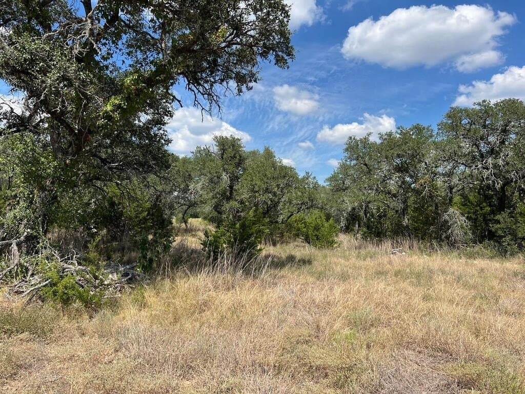 23.55 acres in Blanco County - photo 16