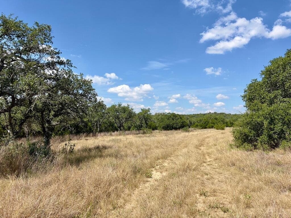 23.55 acres in Blanco County - photo 13