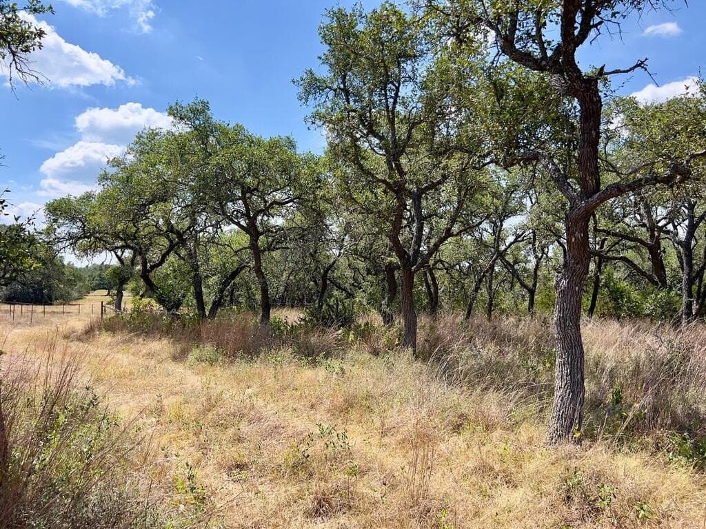 23.55 acres in Blanco County - photo 12