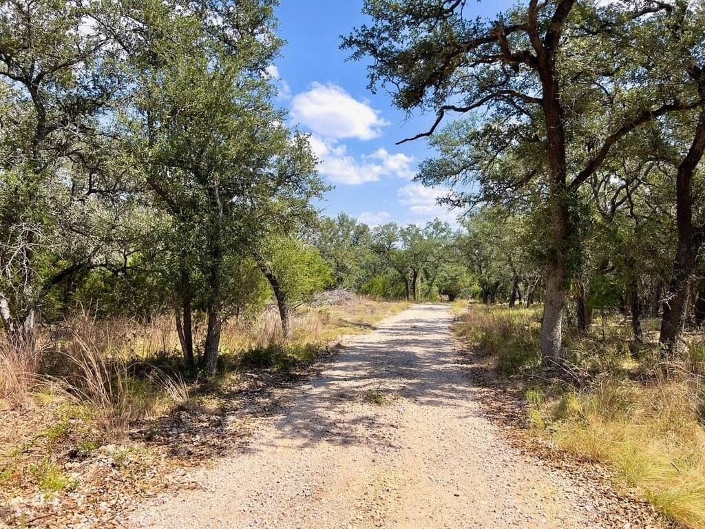 23.55 acres in Blanco County - photo 17
