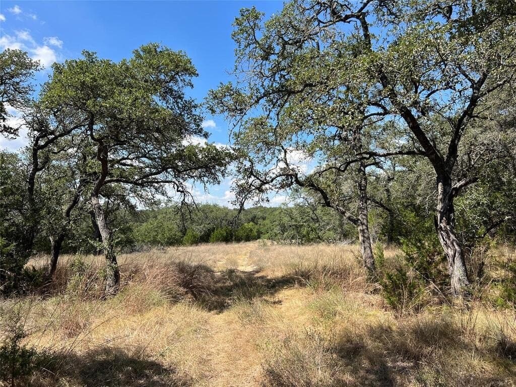 23.55 acres in Blanco County - photo 6