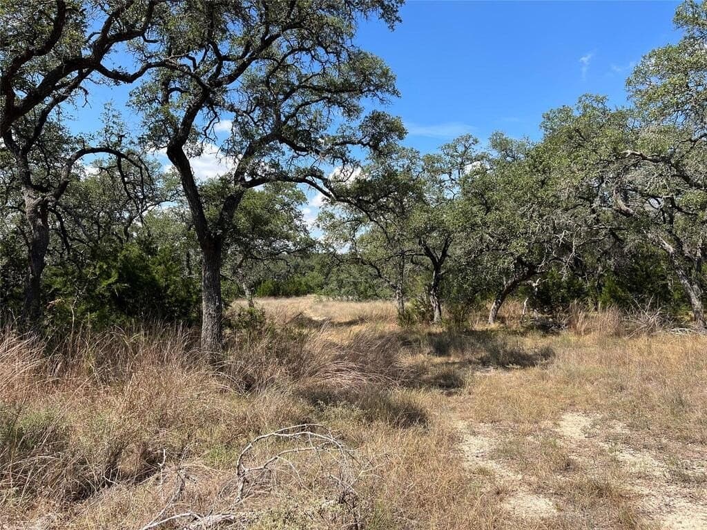 23.55 acres in Blanco County - photo 5