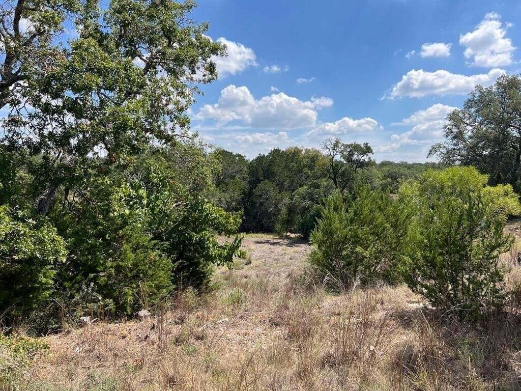 23.55 acres in Blanco County - photo 18