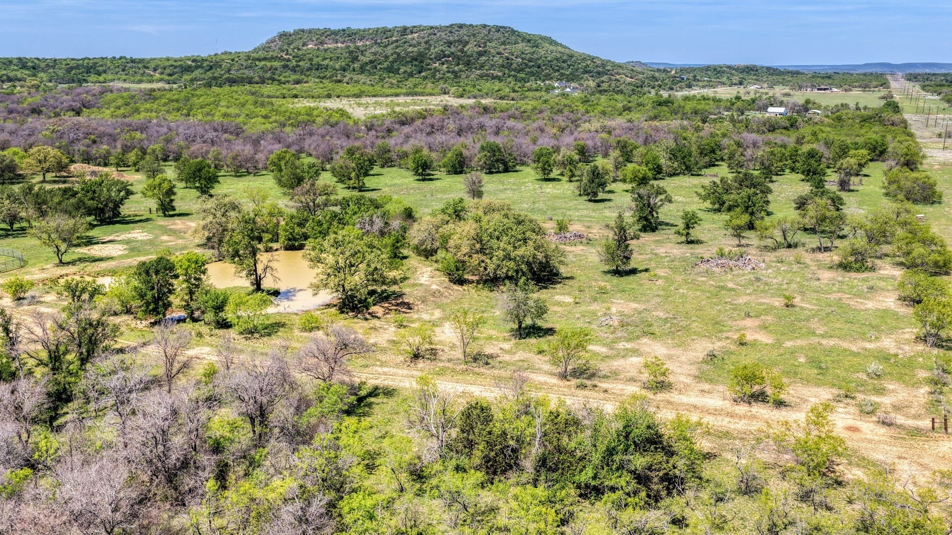 63 acres in Palo Pinto County gallery image 3