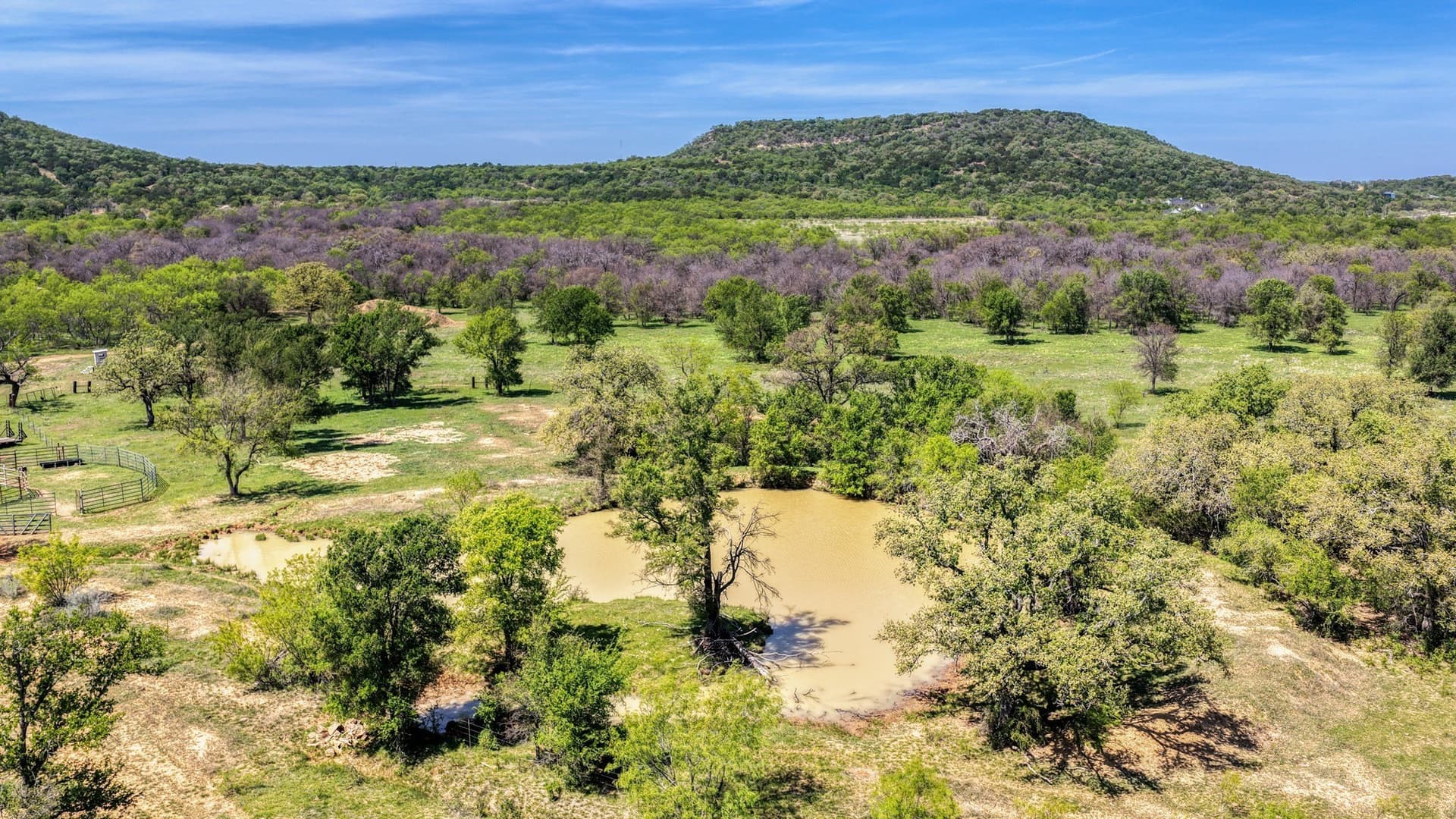63 acres in Palo Pinto County gallery image 4