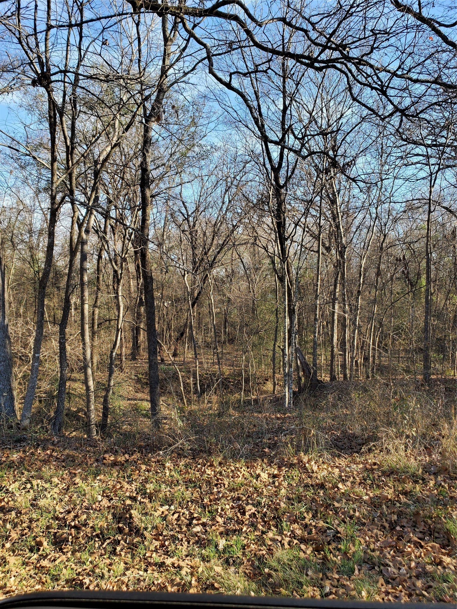 3 acres in Henderson County