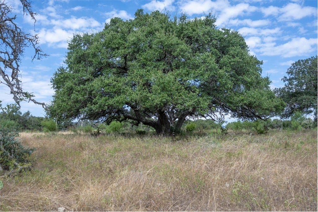 70.01 acres in Gillespie County - photo 4