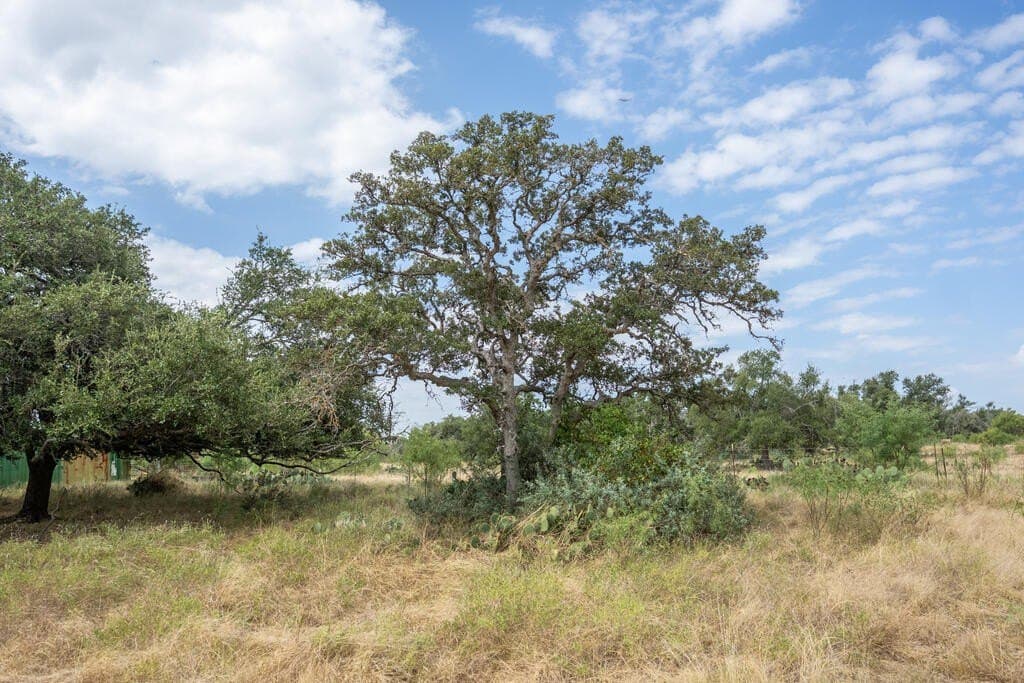 70.01 acres in Gillespie County - photo 16