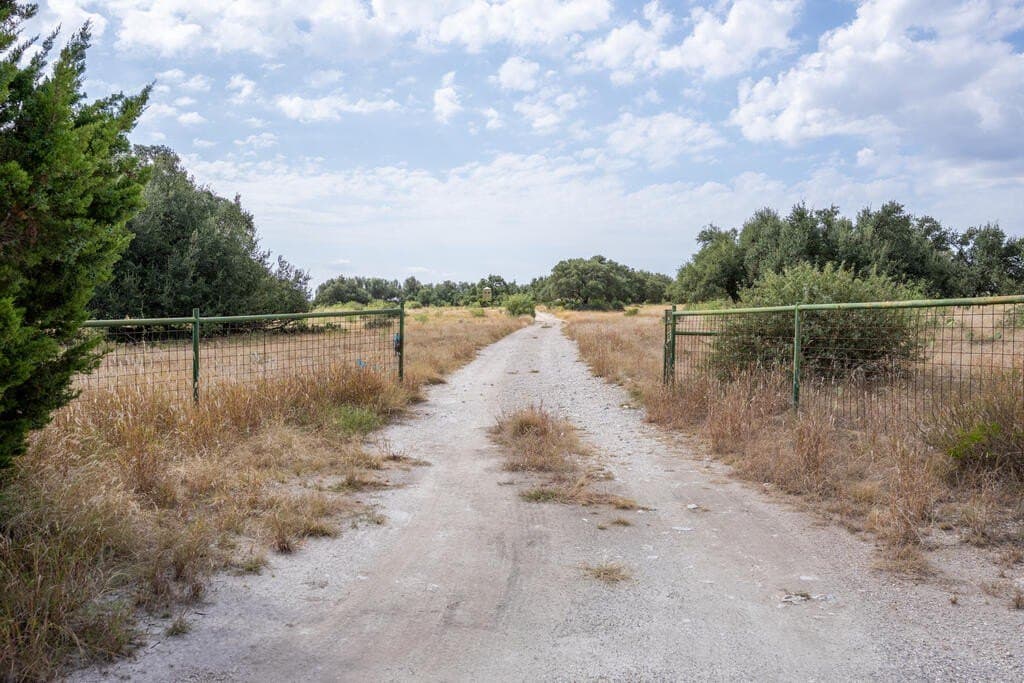 70.01 acres in Gillespie County - photo 13