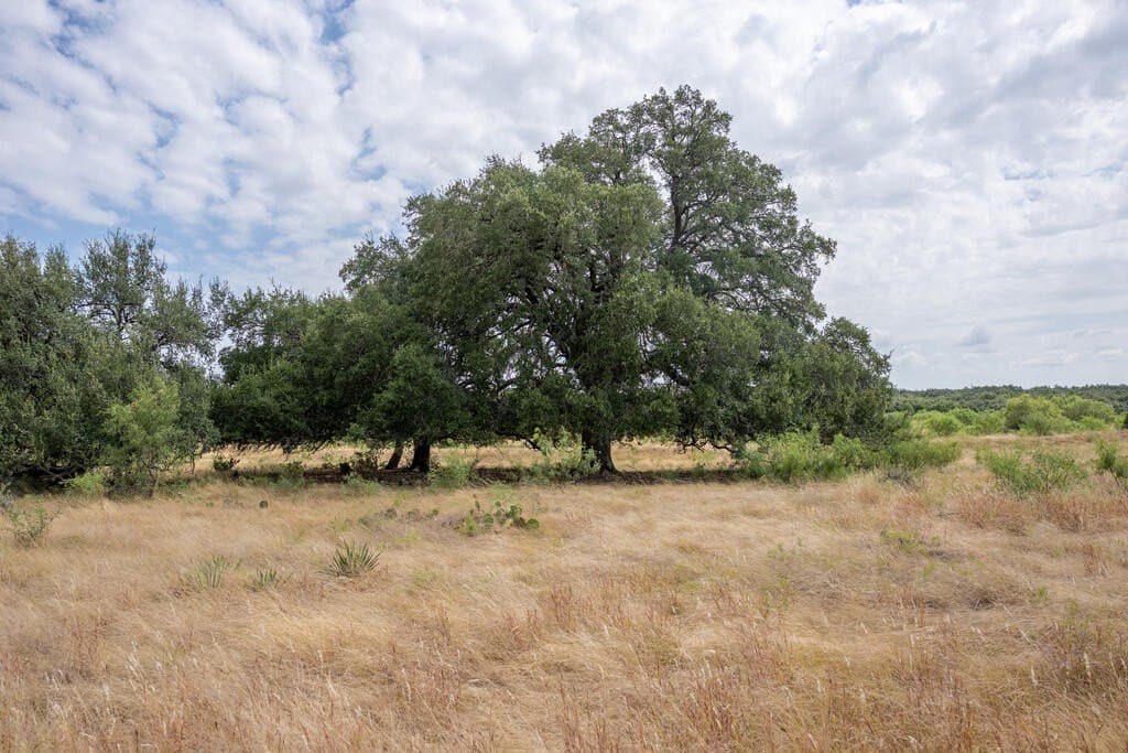 70.01 acres in Gillespie County - photo 5