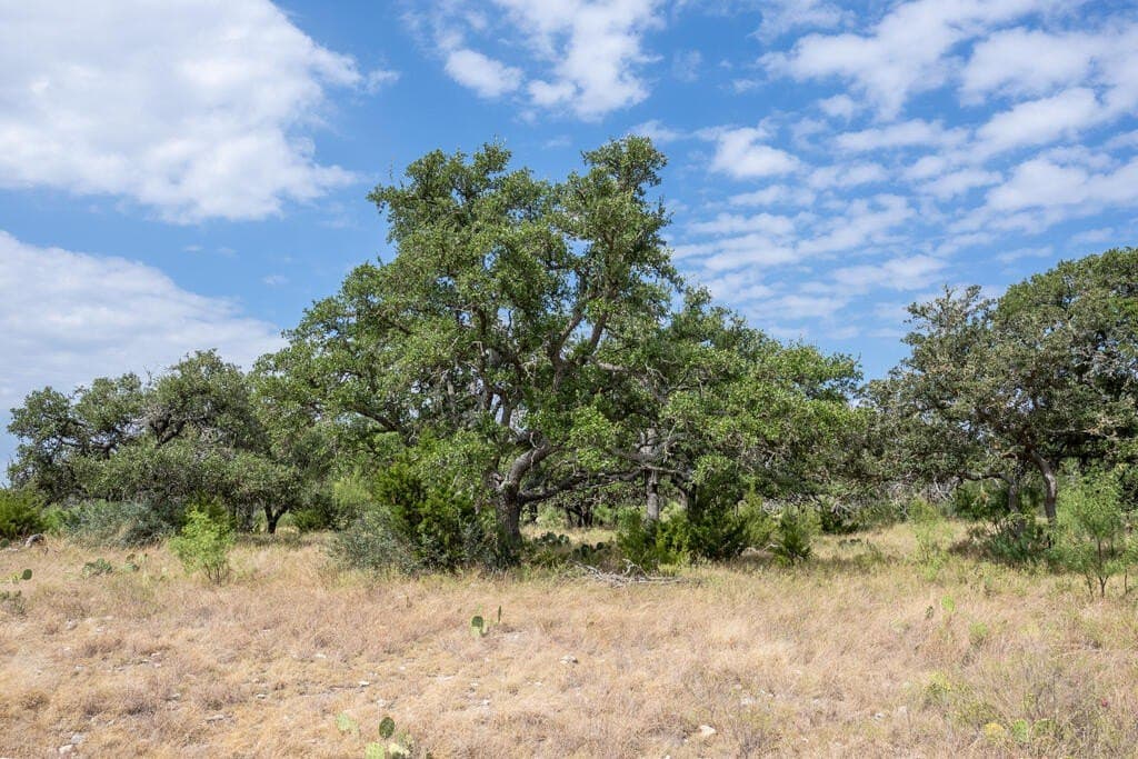 70.01 acres in Gillespie County - photo 17