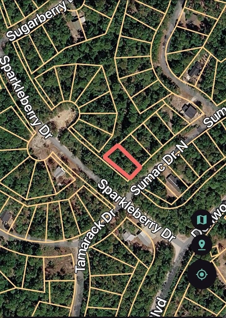 0.2 acres in Texas County gallery image 4