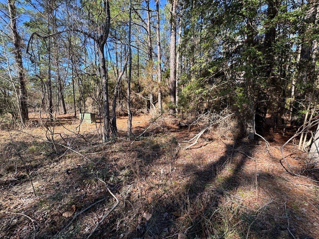 0.2 acres in Texas County gallery image 3
