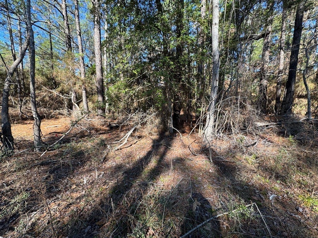 0.2 acres in Texas County gallery image 2
