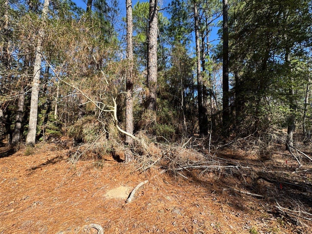 0.2 acres in Texas County featured view