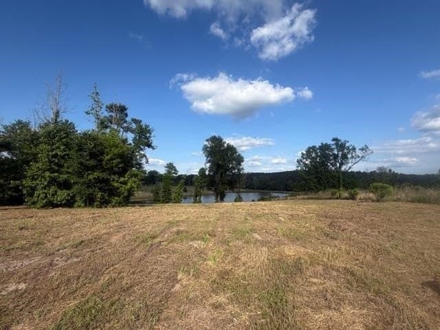 2.42 acres in Upshur County gallery image 4