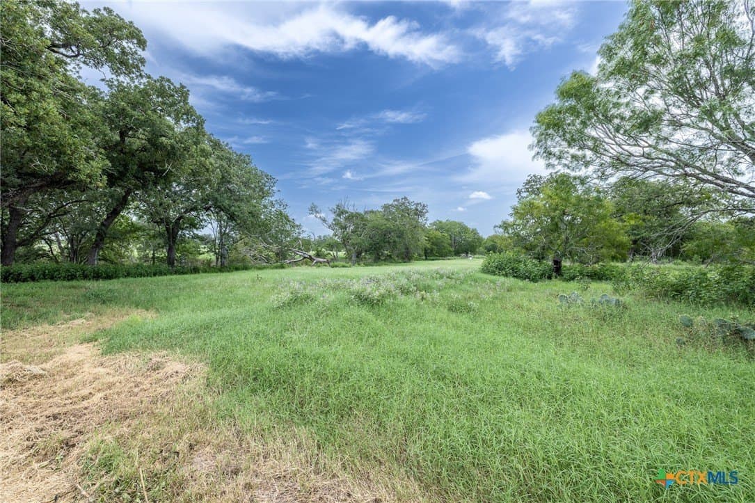 15.32 acres in Gonzales County gallery image 4