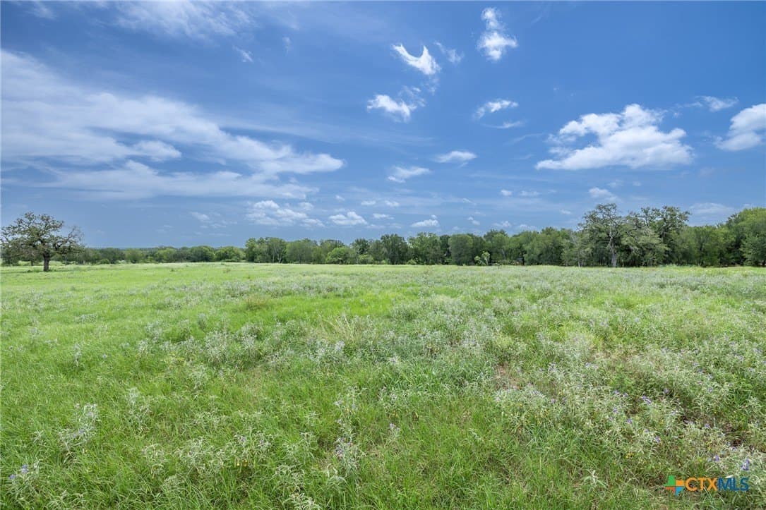 15.32 acres in Gonzales County featured view