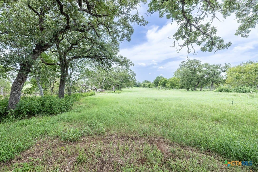 15.32 acres in Gonzales County gallery image 3
