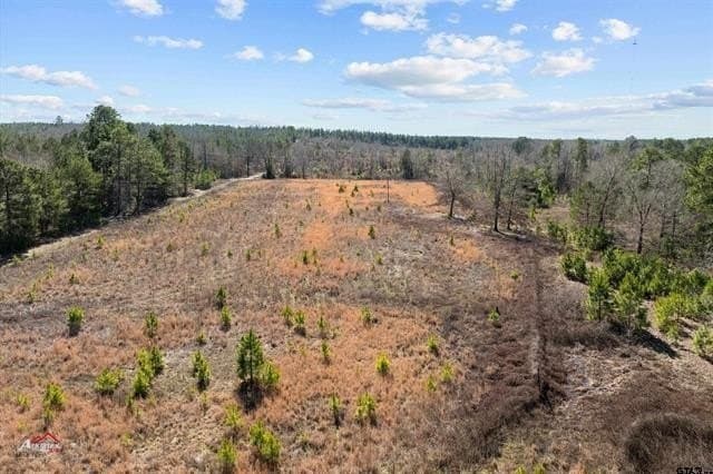 38.98 acres in Marion County gallery image 3