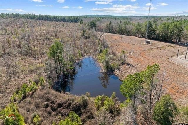 38.98 acres in Marion County gallery image 4