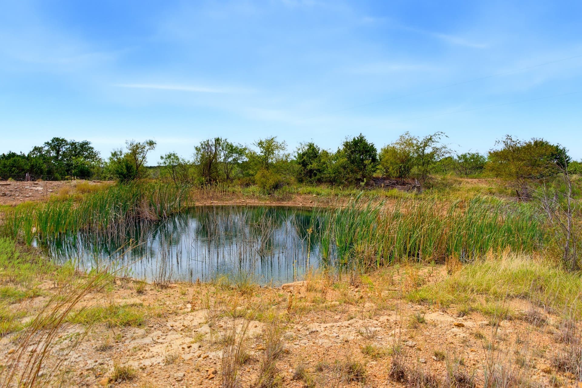 48 acres in Callahan County - photo 26