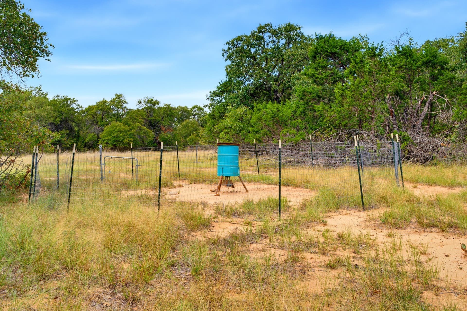 48 acres in Callahan County - photo 24