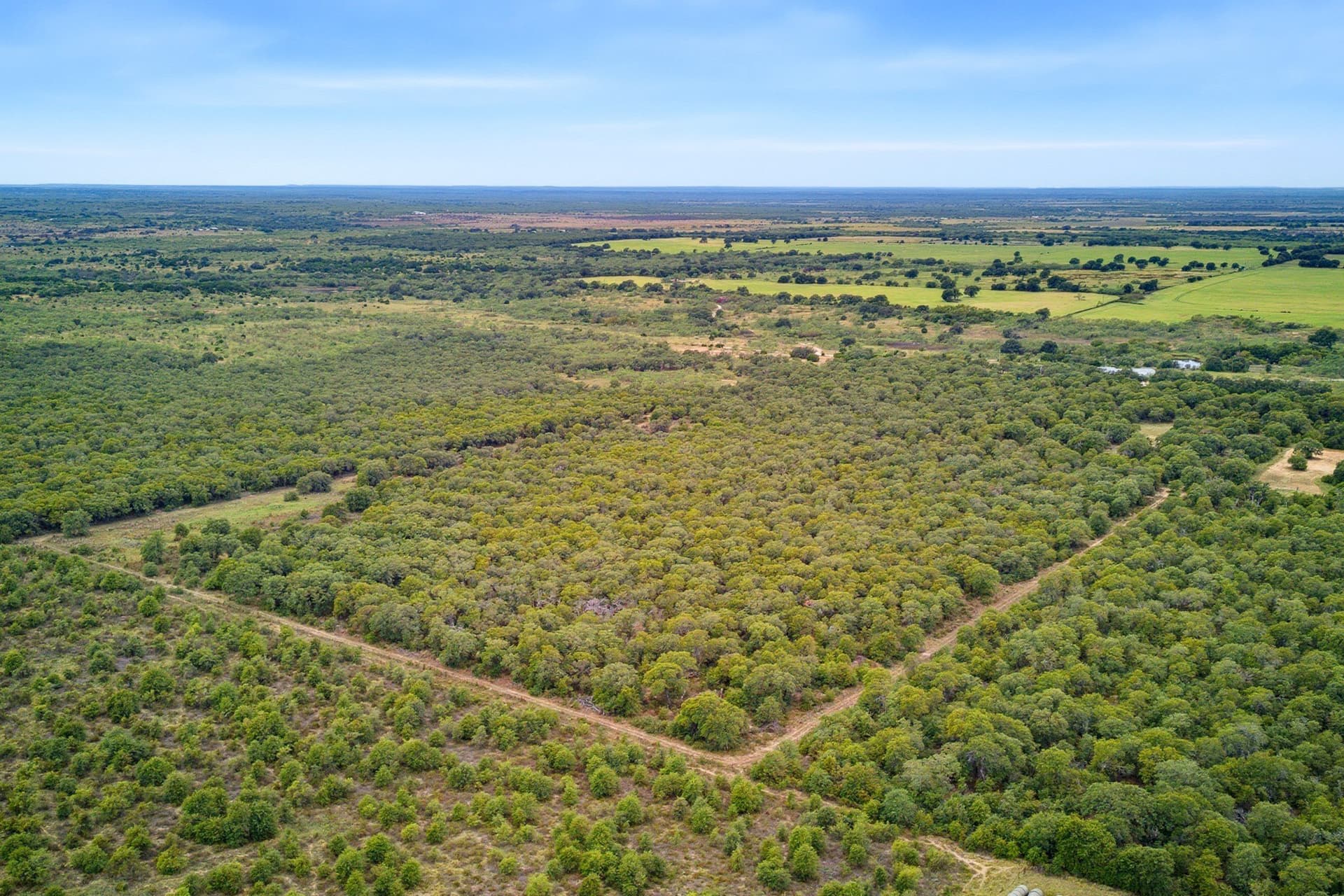 48 acres in Callahan County - photo 18