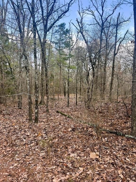 21.5 acres in Wood County gallery image 3