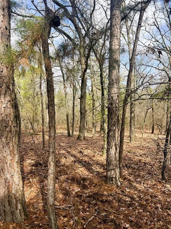 21.5 acres in Wood County