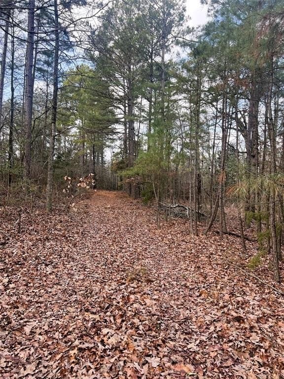 21.5 acres in Wood County featured view