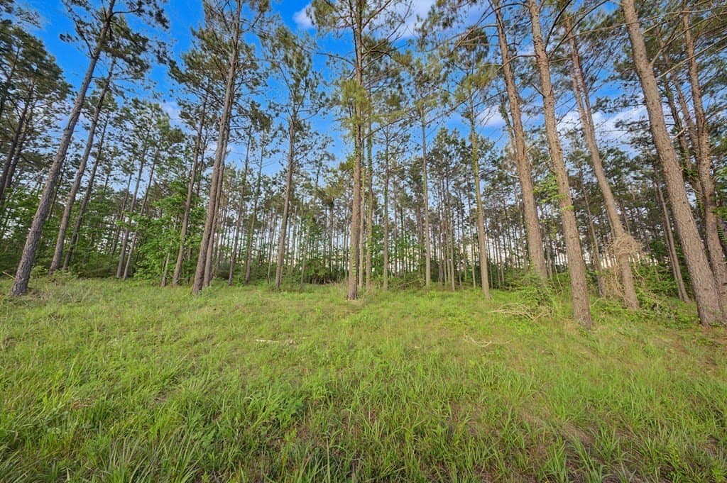 10.13 acres in Texas County gallery image 3