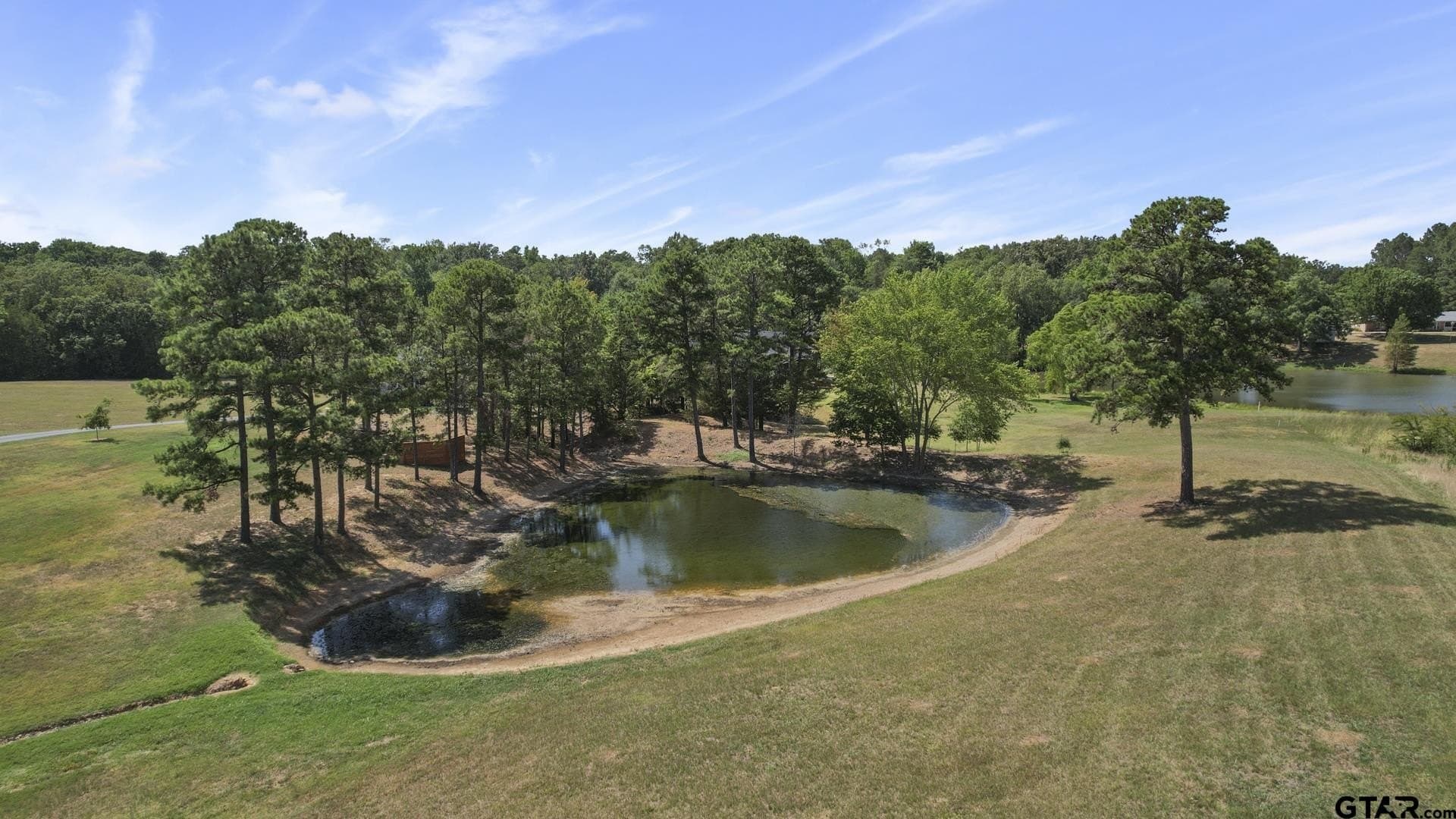 0.98 acres in Camp County gallery image 4