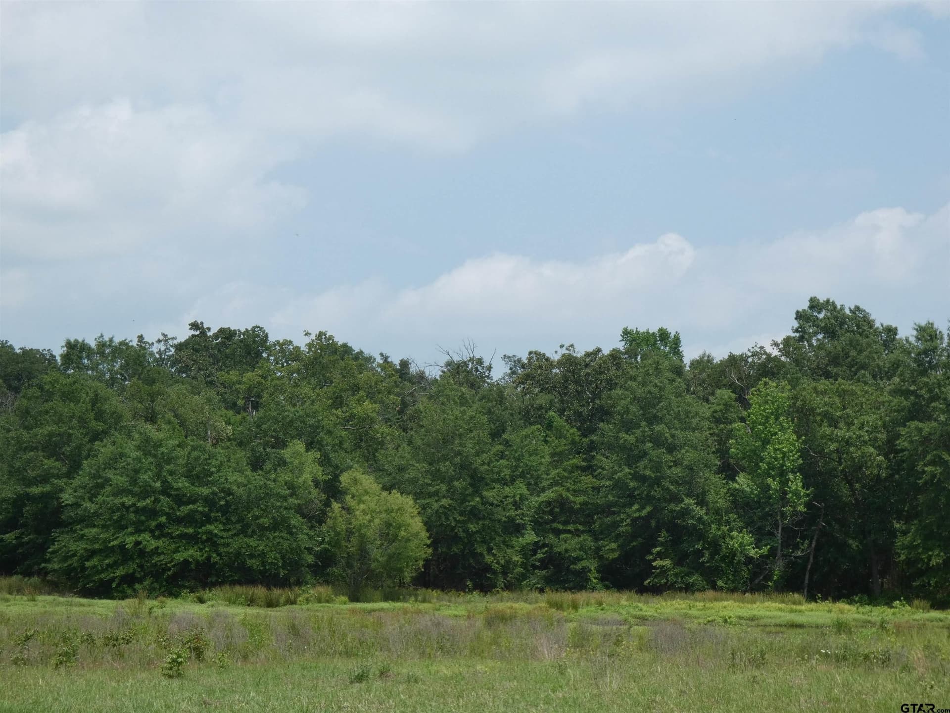 7.48 acres in Titus County gallery image 4