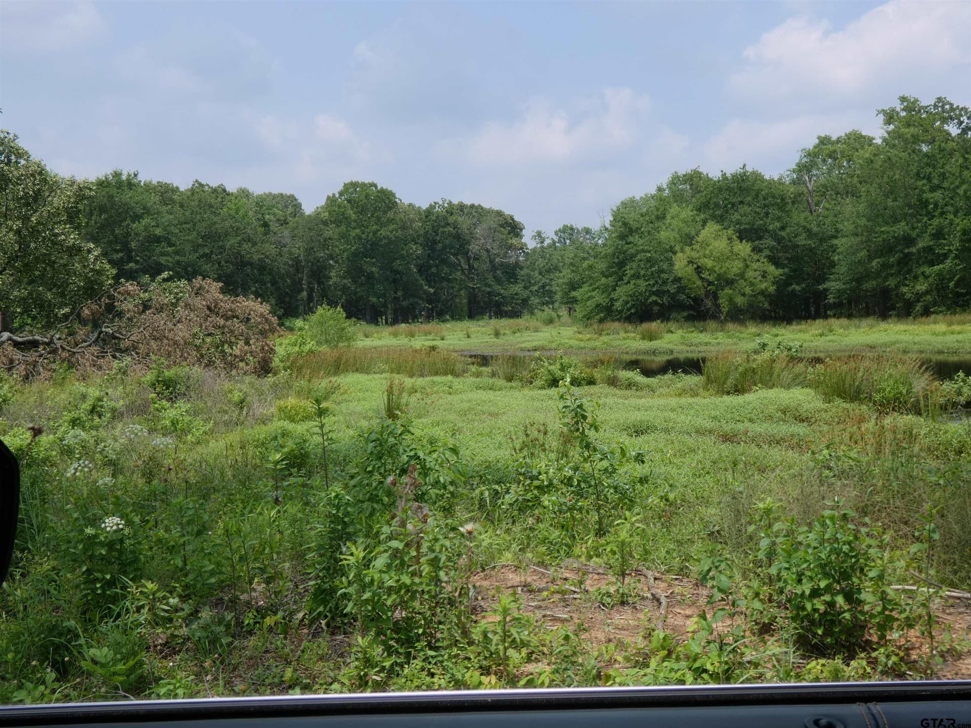 7.48 acres in Titus County gallery image 2