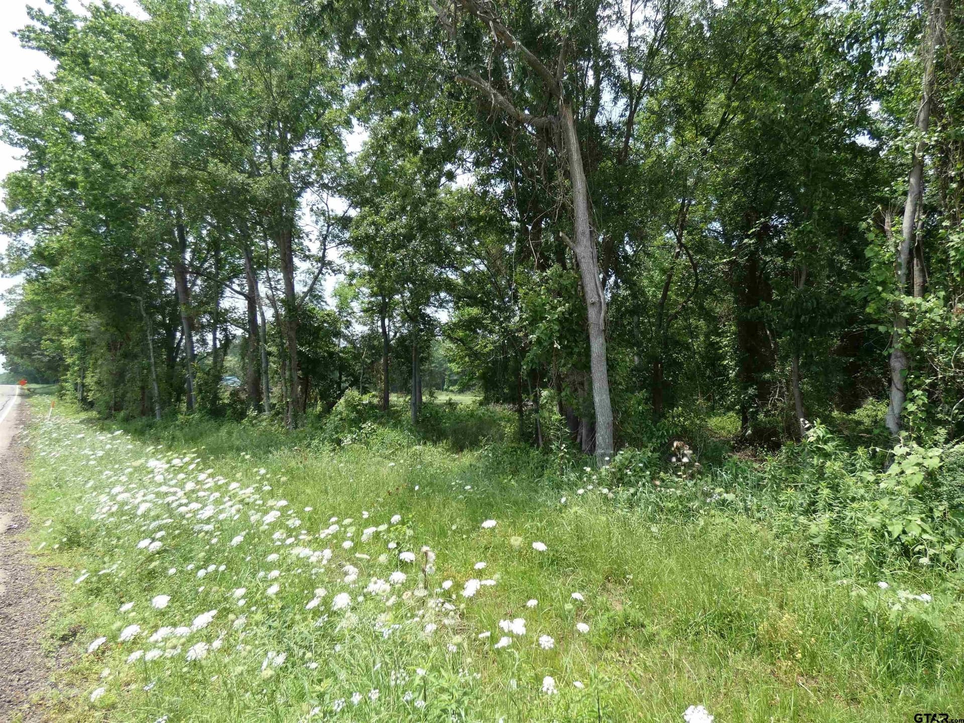 7.48 acres in Titus County featured view