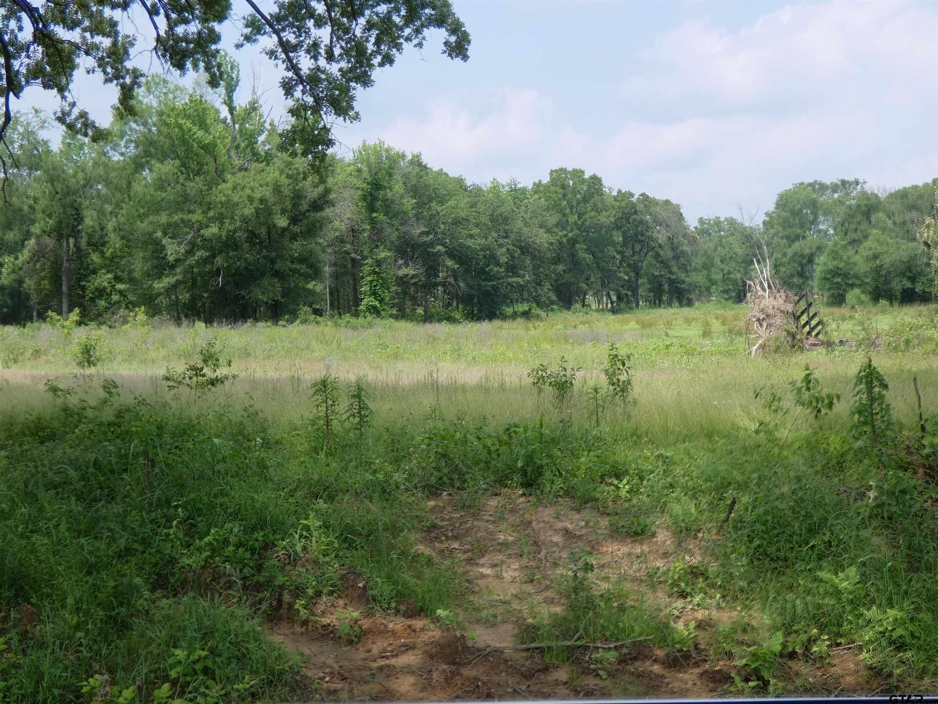 7.48 acres in Titus County gallery image 3