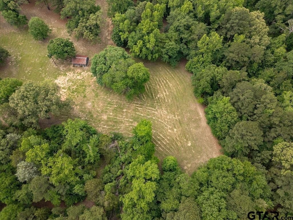32 acres in Smith County - photo 10