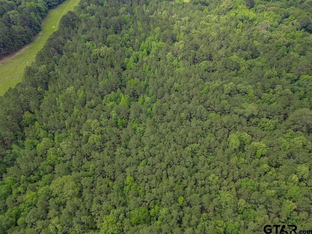 32 acres in Smith County - photo 11