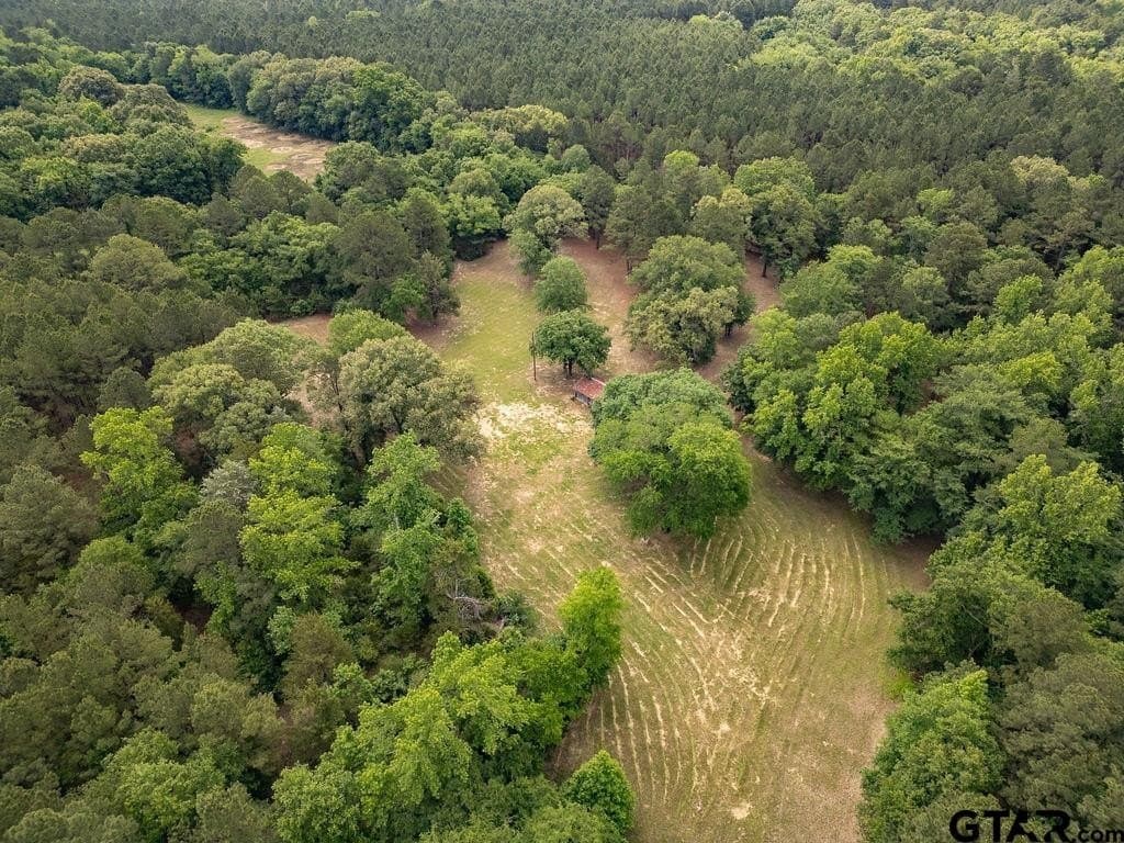 32 acres in Smith County - photo 9
