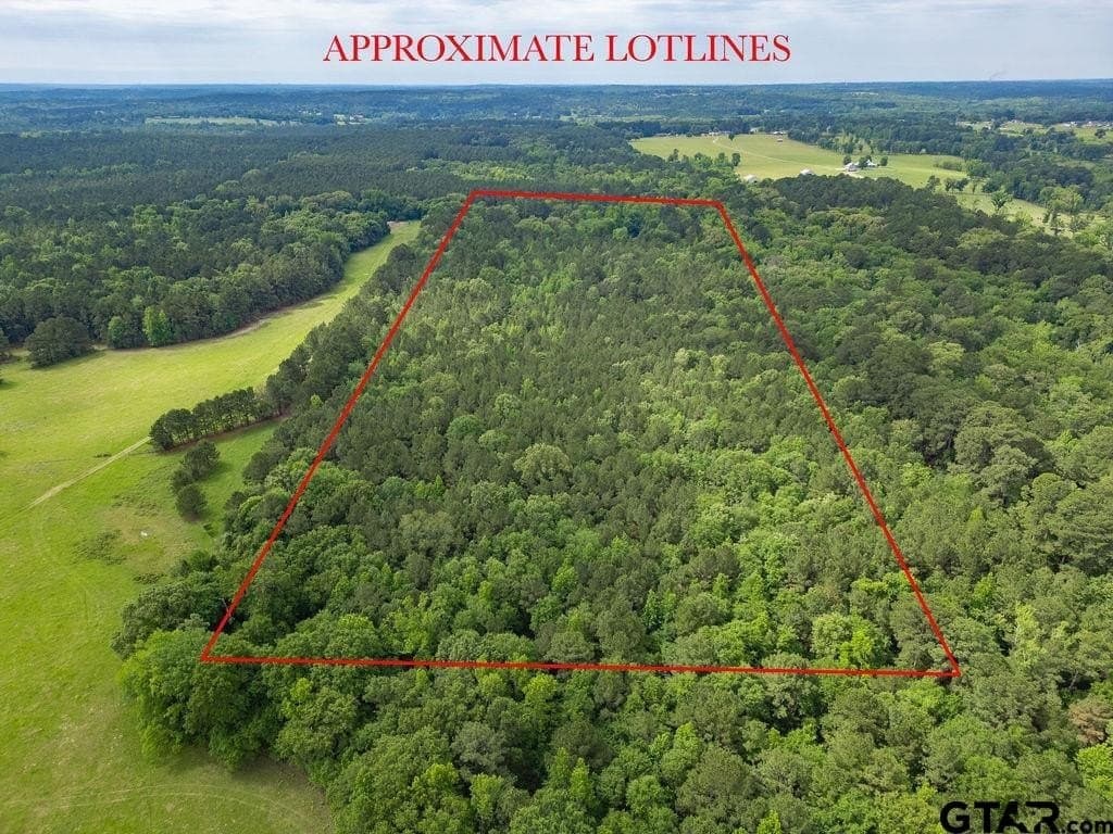 32 acres in Smith County gallery image 4