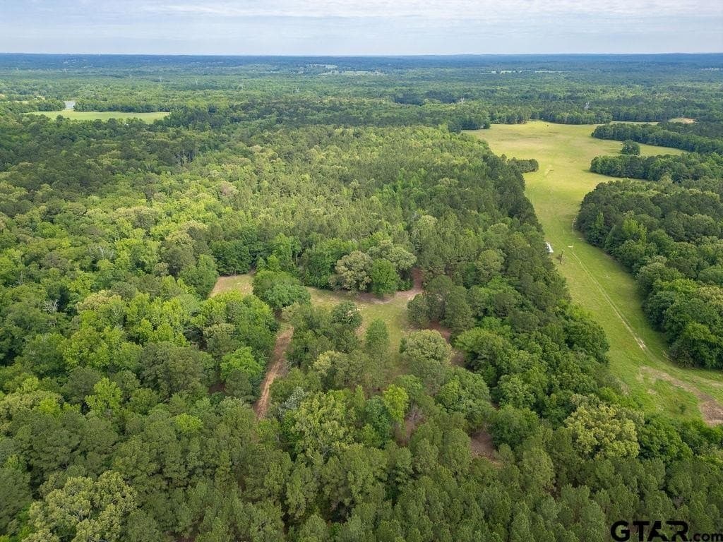 32 acres in Smith County - photo 6