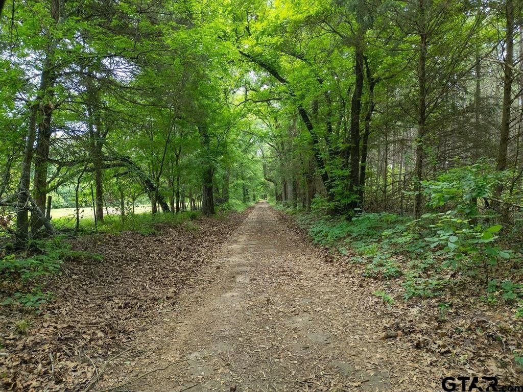 32 acres in Smith County gallery image 2