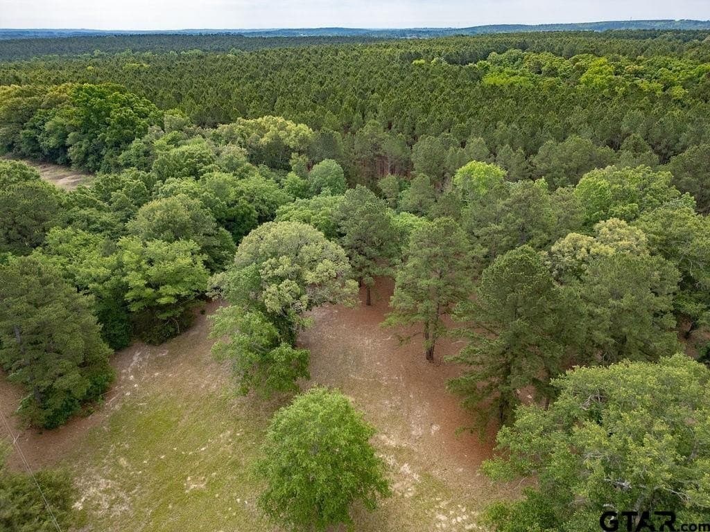 32 acres in Smith County - photo 7