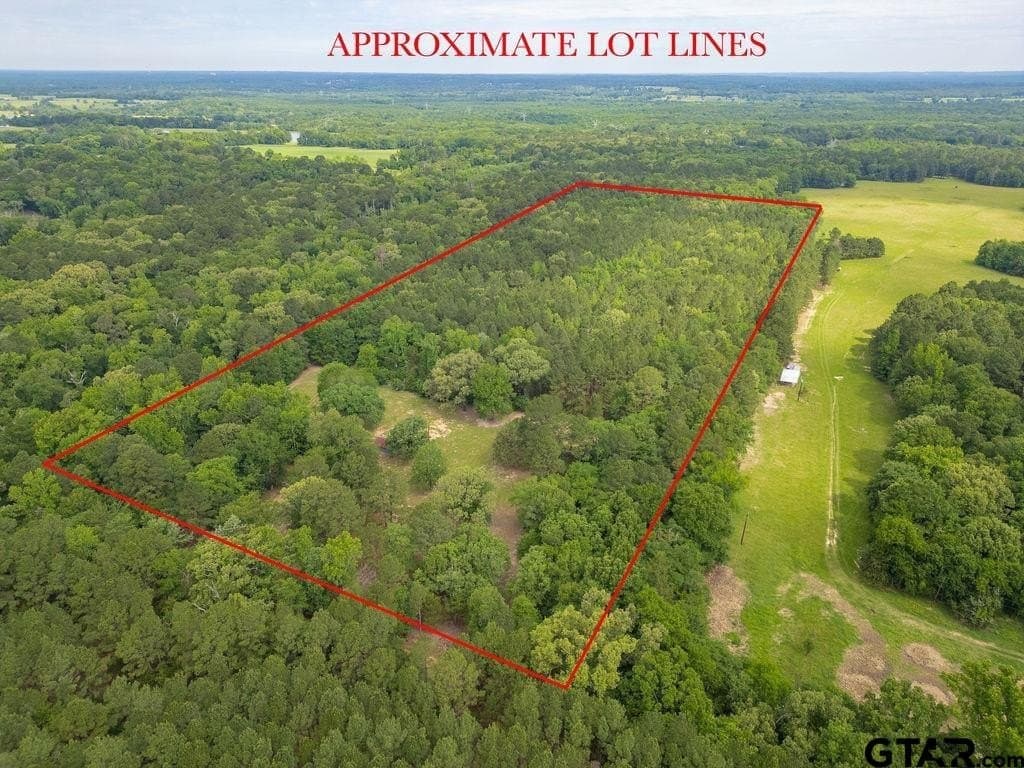 32 acres in Smith County gallery image 3