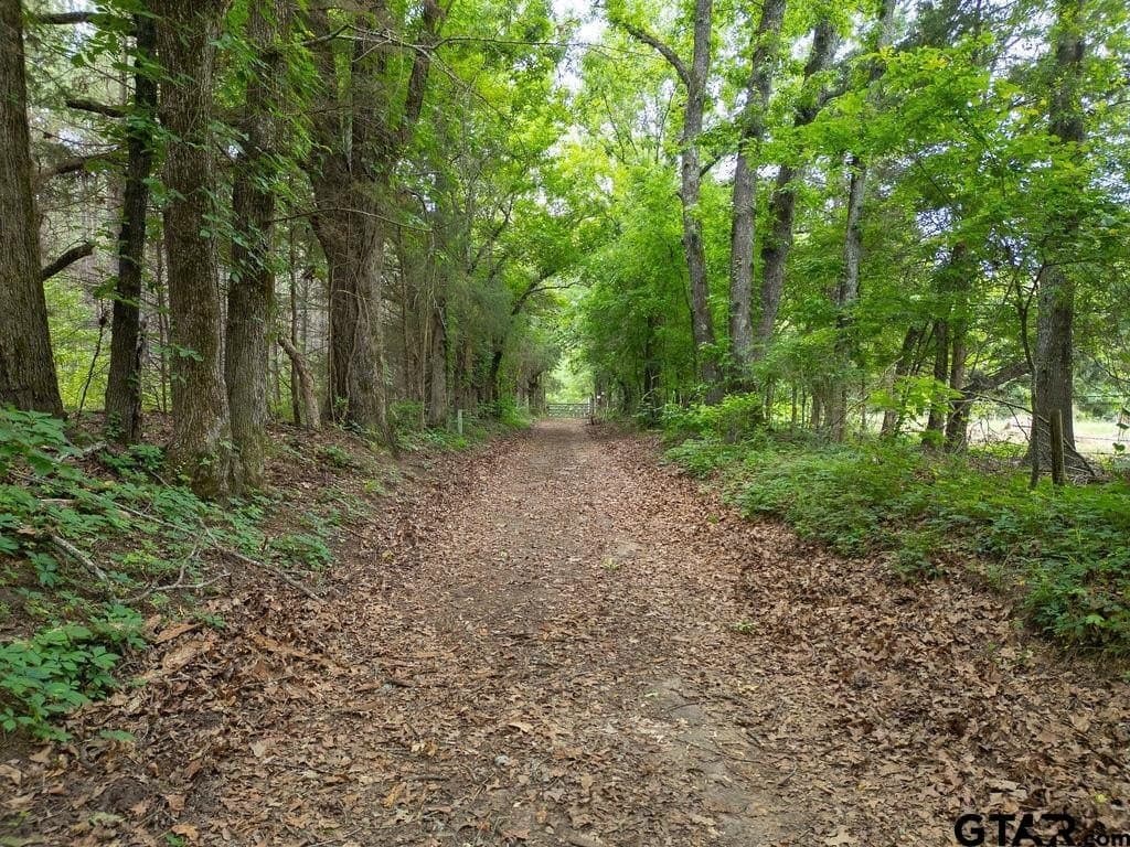 32 acres in Smith County - photo 12