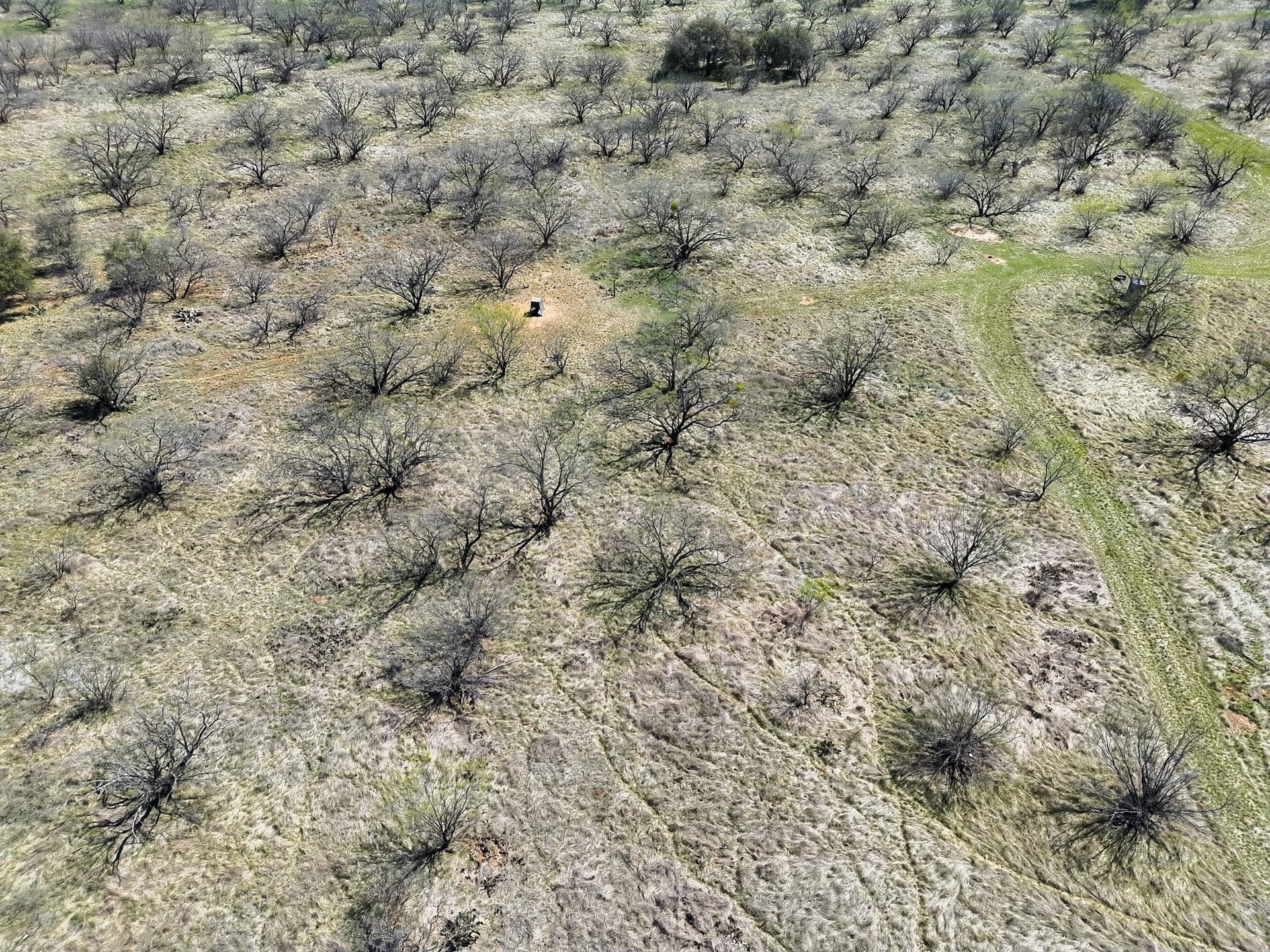 46.25 acres in Stephens County - photo 27